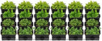 Vertical Wall Mount Planter,24 Pots Wall Garden Kit with Self Drip Irrigation Drainage Pipe for Balcony Patio Fence by KannBeki