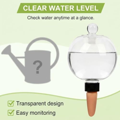 Self Watering Plant Globes, Water Bulbs for Indoor Outdoor Plants，4-750ml - Image 7