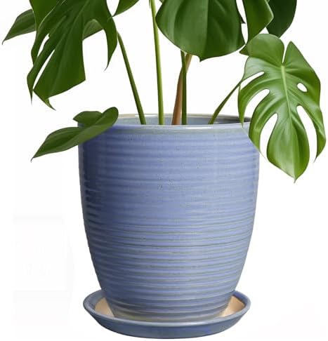 EEPFamily 8 Inch Plant Pot- Ceramic Planter for Indoor Outdoor with Drainage Hole and Plant Tray, Modern Round Porch Home Office Garden Living Room Decor, House Warming Gifts, Blue-Purple by EPFamily