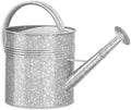 Galvanized Iron Watering Can for Indoor Plants, Oval Watering Cans for House Plant Garden Flower, Long Spout Water Can for Outdoor Watering Plants 9.46L 2.5 Gallon by Longrun