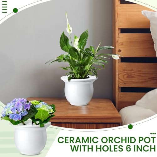Suclain 2 Pack Ceramic Self Watering Plant Pot African Violet Pots Self Watering Indoor Flower Pot Efficiently Store Water for at Least One Week Modern Decor Gift(White,6.5 Inch) - Image 6