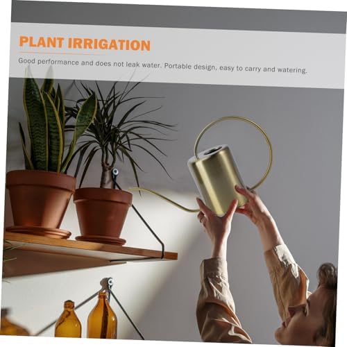 Watering Can with Long Spout 2000ml Stainless Steel Golden - Image 6