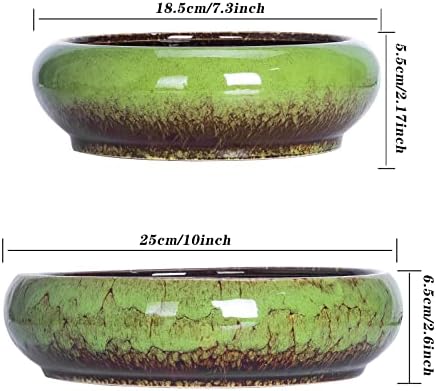 Succulent Pots, 7.3/10 Inch Large Bonsai Pots with Tray Set of 2 - Image 5