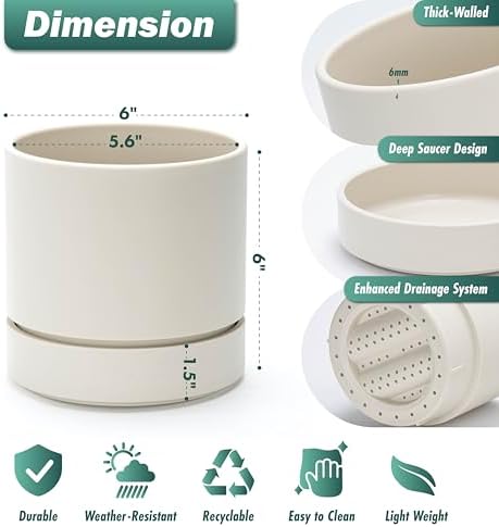 Phoenix Vine 6 Inch Planter Pot with Drainage Hole & Saucer, Deep Water Catch Tray, Straight Cylindrical Round Pot for Plants, Oatmeal, Pack of 4, 23-E-S-4 - Image 3