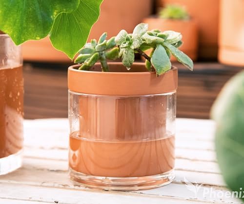 Phoenix Vine 4 Inch Self Watering Planter Pot, Terracotta Clay Pot with Glass Reservoir for Indoor Plants, Herbs, Flowers, Set of 3, 52-A-E-3 - Image 7