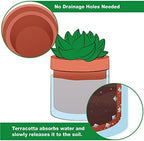 Phoenix Vine 4 Inch Self Watering Planter Pot, Terracotta Clay Pot with Glass Reservoir for Indoor Plants, Herbs, Flowers, Set of 3, 52-A-E-3 - Image 3