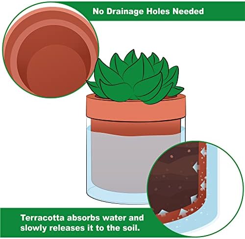Phoenix Vine 4 Inch Self Watering Planter Pot, Terracotta Clay Pot with Glass Reservoir for Indoor Plants, Herbs, Flowers, Set of 3, 52-A-E-3 - Image 3