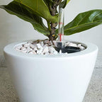 Self-Watering Planters, 2-Pack, 10.2 Inch, White - Image 3