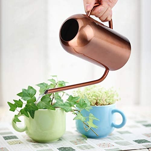 Stainless Steel Watering Can, 1.5L/53oz Small Watering Can Indoor Plants with Long Spout Outdoor Watering Can Pot Modern Style Plant Watering Can for Garden Flower Decorative - Image 3