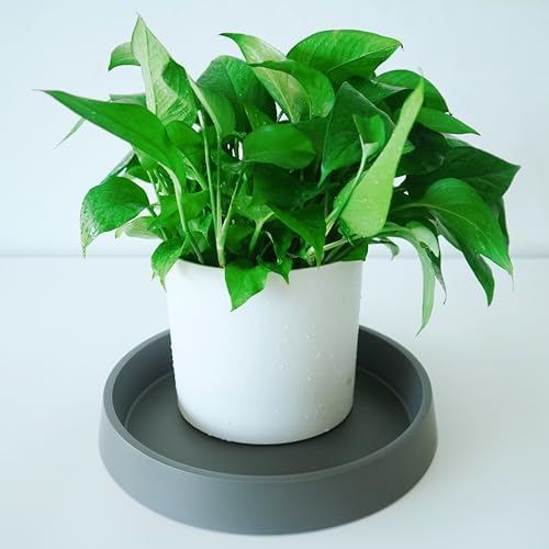 Plant Saucer Tray for Ceramic Plastic Pots, 18 inch Plant Saucers for Indoors, Pot Saucers Trays, Bird Bath Bowls, Flower Planter Water Drip Trays for Pots Base (18", Gray) - Image 5
