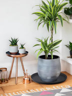 Kalolary 2 Pack Plant Saucer for Potted Plant 25 Inch Plant Pot Saucers - Image 4