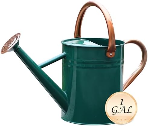 Metal Watering Can for Outdoor Plants, Watering Can 1 Gallon (NewGreen) - Image 2