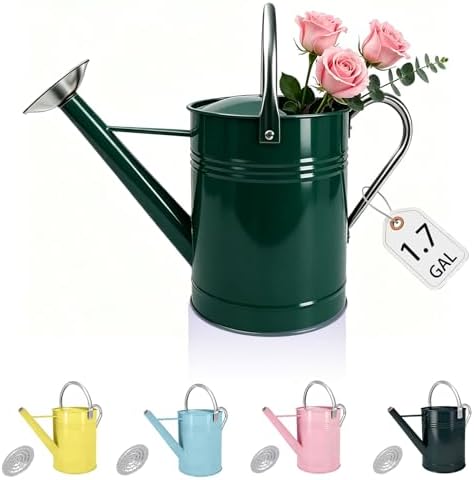 1.7 Gallon Metal Watering Can with Removable Spout, Durable Galvanized Steel Water Can for Indoor Outdoor Garden Plants (Dark Green) by LONGRUNHOME