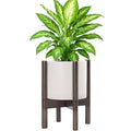 D'vine Dev Plastic Pot with Walnut Wood Stand, Oatmeal, 8 in, 55-C-I-4 by DvineDevPlanterPotsandStand