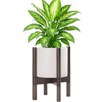 D'vine Dev Plastic Pot with Walnut Wood Stand, Oatmeal, 8 in, 55-C-I-4 by DvineDevPlanterPotsandStand
