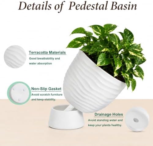 White Terracotta Self Watering Plant Pots, 6 and 8 Inch with Saucers - Image 4