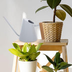Stainless Steel Watering Pot with Wood Handle Large Capacity Long Spout Indoor Outdoor Plant Watering Can Wear-Resistant Kettle for Garden Flowers Succulents - Image 5