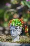 6" Greek Style Cement Head Planter, 6 Inch, Gray by Noeko