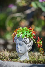 6" Greek Style Cement Head Planter, 6 Inch, Gray by Noeko