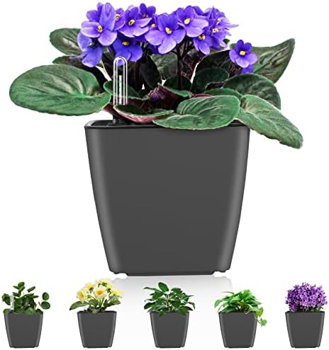 Self Watering Planters for Indoor Plants : 5 inch 6 Pack Grey Planter with Water Level Indicator African Violet Self Watering Flower Pot for Herb Pot House Plant Planting by GsGardenSpecialty