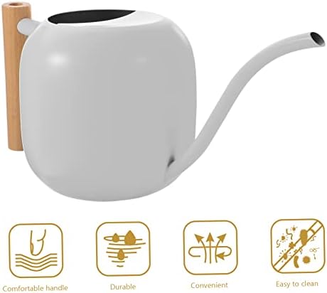 Stainless Steel Watering Can with Handle Vintage Design for Indoor and Outdoor Use Capacity and Comfortable for Plants and Gardens - Image 2
