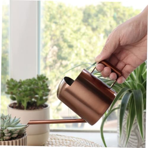 LIOOBO 2pcs Watering Can Indoor Plants Indoor Plant Accessories Water Pot for Plants Plant Water Plants Pitcher Water Can for Plants Watering Pots Light Brown Stainless Steel - Image 5