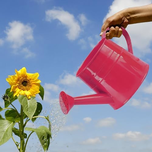 Metal Watering Can for Indoor 1L Garden Sprinkling with Ergonomic Handle Outdoor Care Tool (Red, One Size) - Image 2