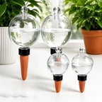 Self Watering Plant Globes, Water Bulbs for Indoor Outdoor Plants，4-Mixed by Unknown