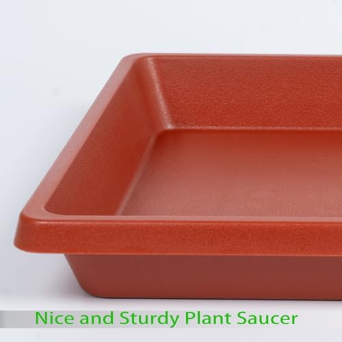 Plant Saucer 12 Inch Square 4 Pack, Plastic Plant Drip Trays, Plant Saucers for Indoors and Outdoors, Flower Pot Saucers, Saucers for Potted Plants, Planter Saucer, Plant Water Catcher Trays for Pots - Image 3