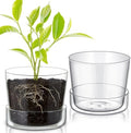 2 Sets 6 Inch Glass Planter with Drainage Hole and Tray Indoor Clear Plant Pots with Saucer Modern Decorative Orchid Glass Pot for Outdoor Flower Plants by Singhoow