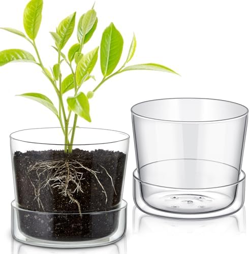 2 Sets 6 Inch Glass Planter with Drainage Hole and Tray Indoor Clear Plant Pots with Saucer Modern Decorative Orchid Glass Pot for Outdoor Flower Plants by Singhoow