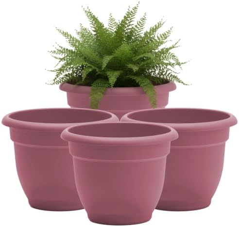 Bloem Ariana 8" Plastic Self-Watering Planter, Dusty Rose, 4-Pack by Bloem