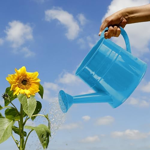 Metal Watering Can for Indoor 1L Garden Sprinkling with Ergonomic Handle Outdoor Care Tool (Blue, One Size) - Image 4