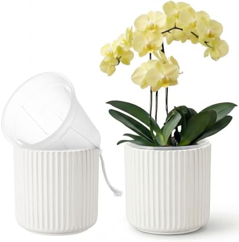Orchid Pot,Ceramic Plant Pot with Clear Orchid Pot,6 inch,White by TineDew