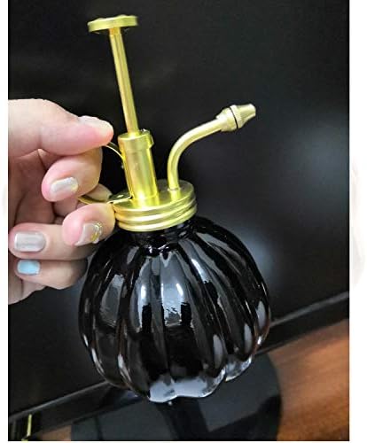 Vintage Style Glass Pumpkin Bottle Sprayer Watering Can Plant Mister with Brass Sprayer Head (Black) - Image 4