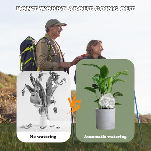 Heart-Shaped 7.04oz/200ml Plant Watering Globes - 6 Self Watering Globes for Outdoor ＆ Indoor Plants - Automatic,Slow,Self Watering Spikes Care of Plants Everyday - Image 5