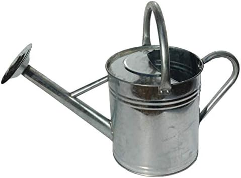 Gardener's Select AW3003P6G Watering Can, Galvanized, 3.5 L by GardenerSelect