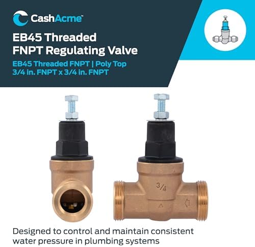 Cash Acme EB45 Pressure Regulating Valve, 3/4 Inch NPT Threaded, Poly Top, 60 PSI, PVA16P-DTH-60 - Image 2