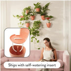 Make Good PlantPod Luxe - Self-Watering Wall Planters (Set of 6, Terracotta) - Easy to Water and Install - Lightweight - Design Your Own Vertical Garden - Wall Planters for Indoor Plants - Image 3