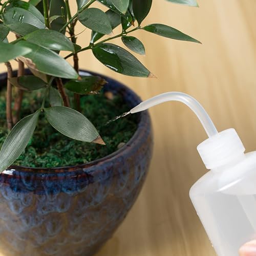 VICASKY 6 Pcs Plastic Watering Bottle Flower Watering Can 250ml 500ml 1000ml Water Squirt Bottle for Eyelash Extensions Eye Wash Tattoo Lab Tip Liquid Storage (White) - Image 3
