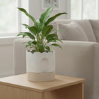 Nihow Ceramic Self Watering Pots for Indoor Plants, 8 Inch,Beige - Image 5