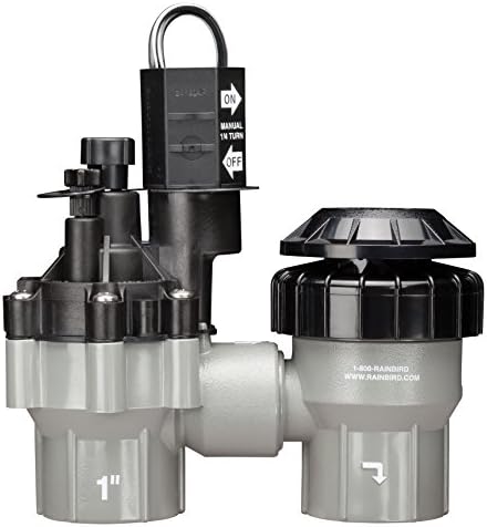 Rain Bird DASASVF100 Professional Anti-Siphon Valve, 1" by RainBird