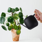 Long Spout Plant Watering Can 1.2l Stainless Steel with Wooden Handle - Image 3