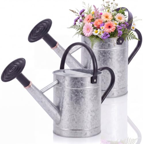 2 Pcs 1 Gallon Metal Watering Can for Indoor Outdoor Plants, Galvanized Garden Water Can with Long Spout and Dual Handles, Large Silver Watering Pot for Flowers, Houseplants, Yard by Ferrochef