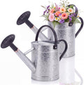 2 Pcs 1 Gallon Metal Watering Can for Indoor Outdoor Plants, Galvanized Garden Water Can with Long Spout and Dual Handles, Large Silver Watering Pot for Flowers, Houseplants, Yard by Ferrochef