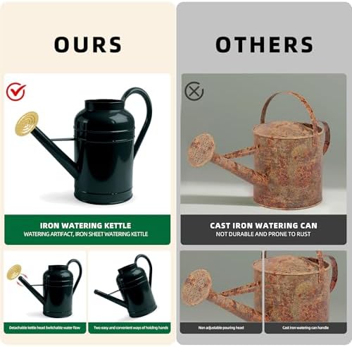 ‌2.3-Gallon Metal Watering Can,8.7L Galvanized Watering Can for Outdoor Plants with Removable Long Golden Spout - Image 5