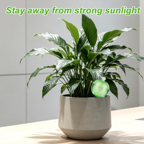 Penitue 4Pcs Plant Watering Globes, 16.9oz Self Watering Bulbs Spikes Slow Release Water Planter Insert with Top Fill Design for Indoor Outdoor Plant Waterer Device Automatic Drip Irrigation System - Image 3
