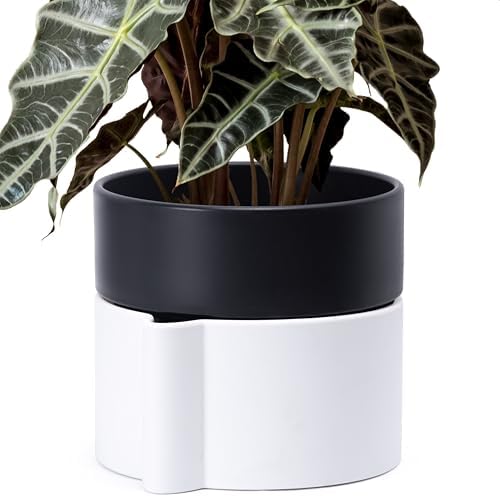8 Inch Self-Watering Planter Pot with Terracotta Insert, Deep Water Reservoir, and Ceramic-Alike BPA-Free Plastic Planter Pot for Plant, Modern Planter for Houseplants, White/Black, 53-B-T-4 by Phoenix+Vine