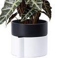 8 Inch Self-Watering Planter Pot with Terracotta Insert, Deep Water Reservoir, and Ceramic-Alike BPA-Free Plastic Planter Pot for Plant, Modern Planter for Houseplants, White/Black, 53-B-T-4 by Phoenix+Vine