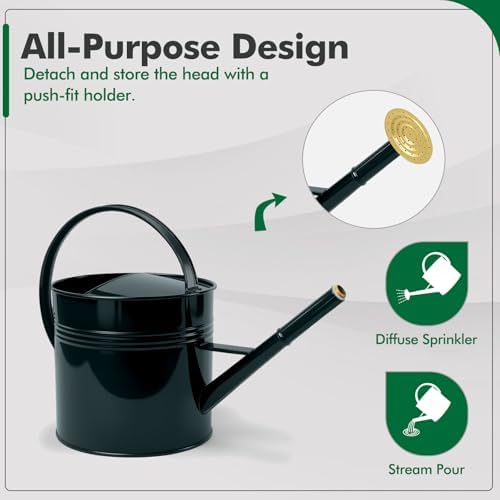 Galvanized Iron Watering Can for Indoor Plants, Oval Watering Cans for House Plant Garden Flower, Long Spout Water Can for Outdoor Watering Plants 9.46L 2.5 Gallon Gold - Image 4